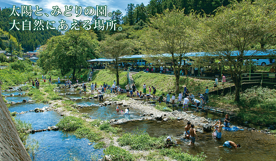 日の出町自然休養村 さかな園 公式ホームページ